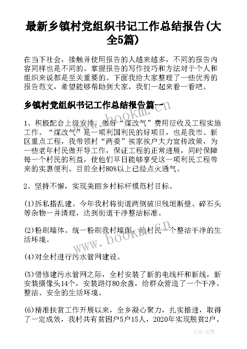 最新乡镇村党组织书记工作总结报告(大全5篇)