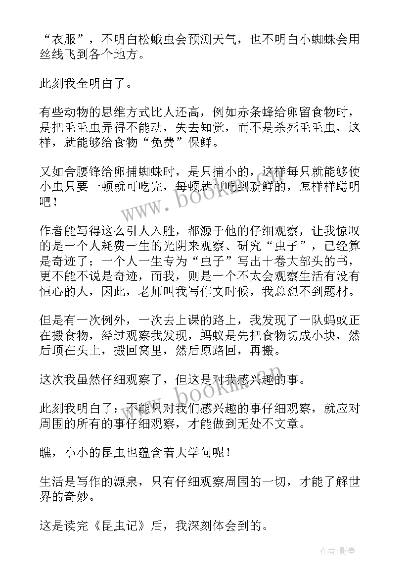 最新国庆手抄报加读后感 读后感手抄报(实用5篇)