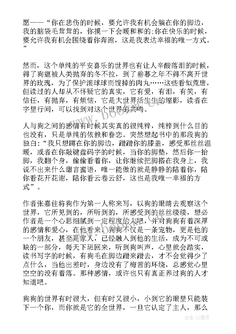 2023年我留下半命题 让我留在你身边读后感(大全5篇)