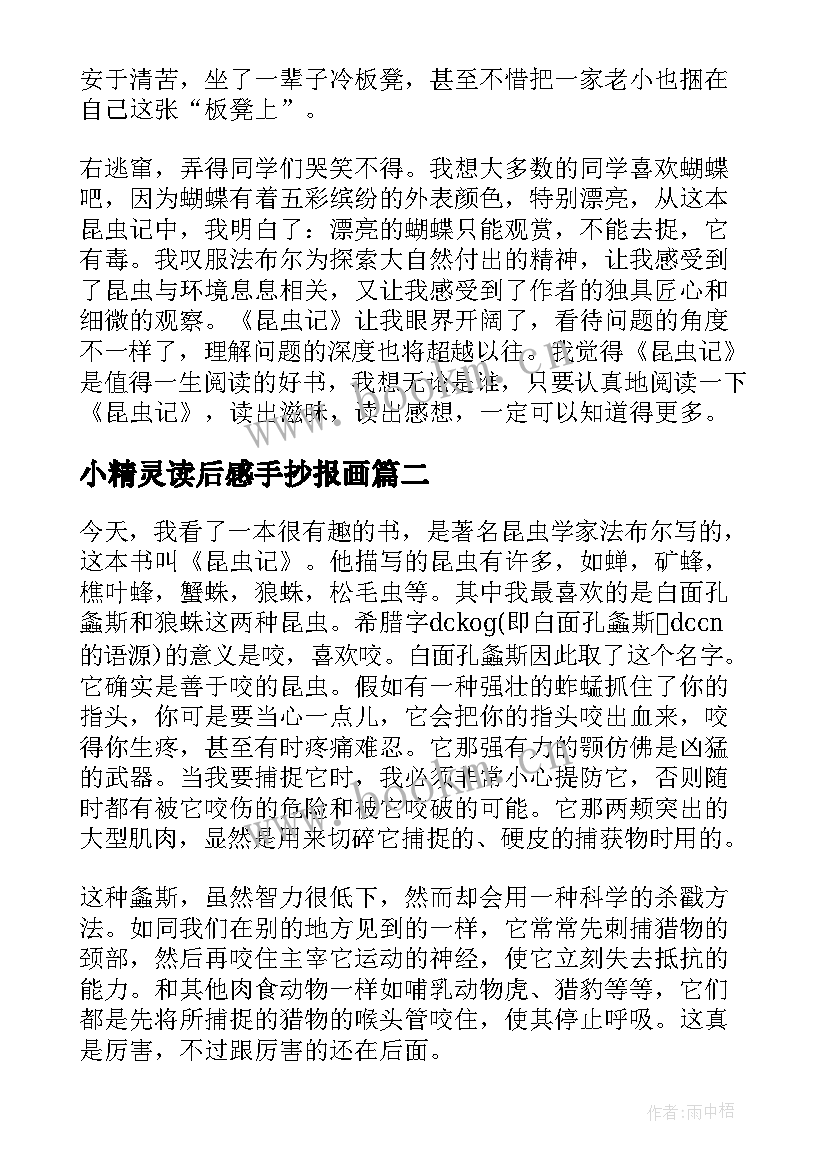 小精灵读后感手抄报画 昆虫记读后感手抄报(大全5篇)