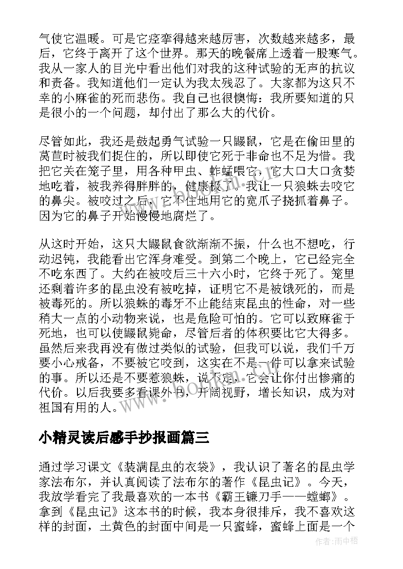 小精灵读后感手抄报画 昆虫记读后感手抄报(大全5篇)