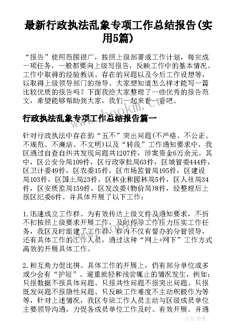 最新行政执法乱象专项工作总结报告(实用5篇)