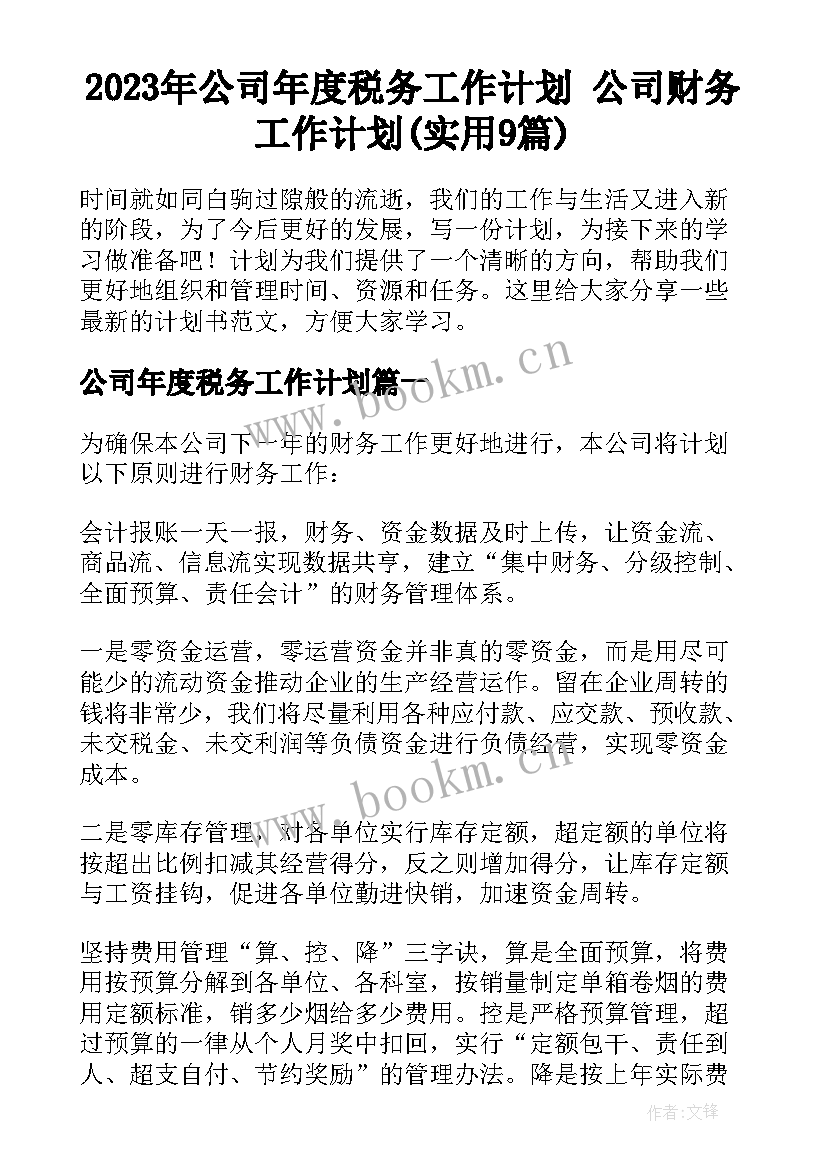 2023年公司年度税务工作计划 公司财务工作计划(实用9篇)