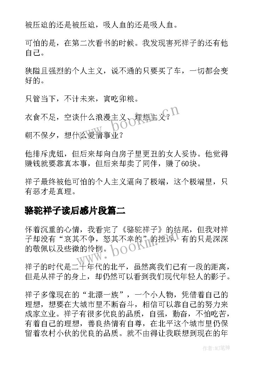 最新骆驼祥子读后感片段(大全7篇)