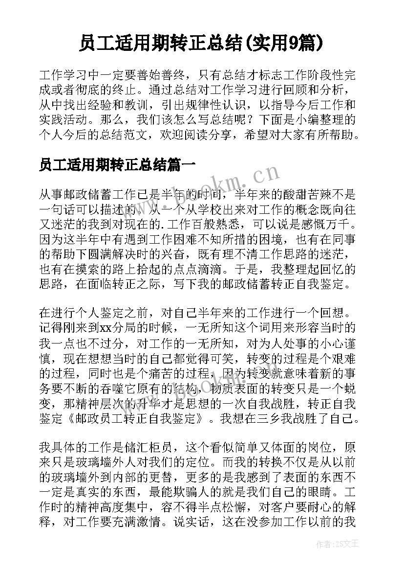 员工适用期转正总结(实用9篇)