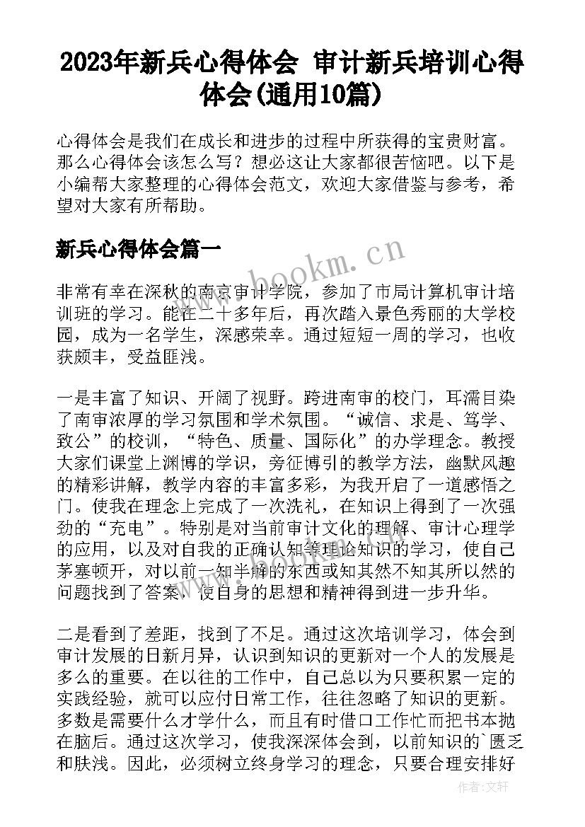 2023年新兵心得体会 审计新兵培训心得体会(通用10篇)