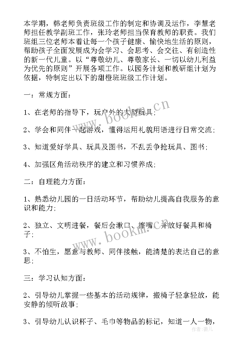 2023年吧台年度简要工作计划(大全5篇)