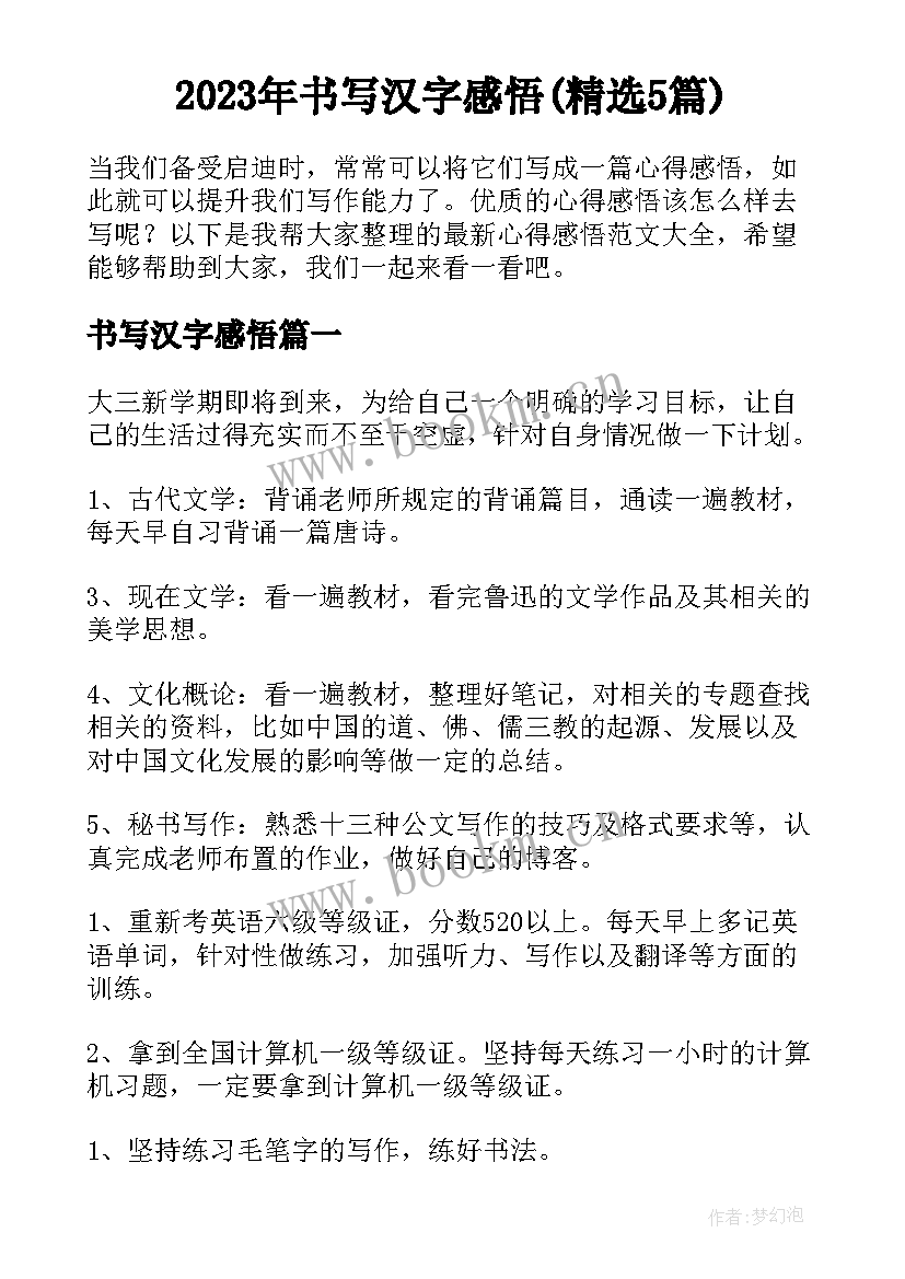 2023年书写汉字感悟(精选5篇)