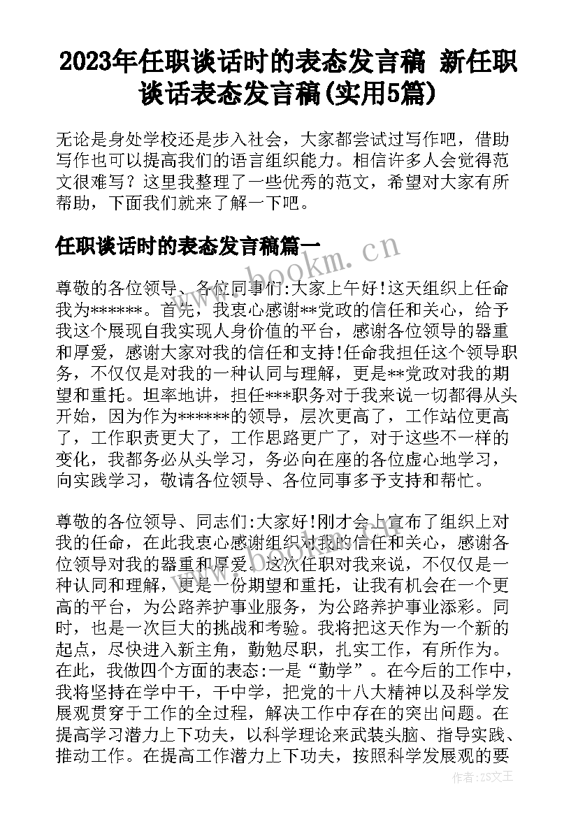 2023年任职谈话时的表态发言稿 新任职谈话表态发言稿(实用5篇)