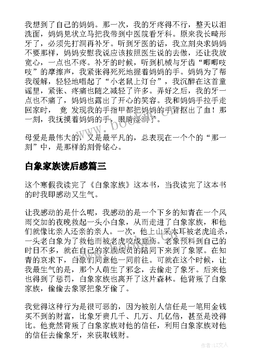 最新白象家族读后感(通用6篇)