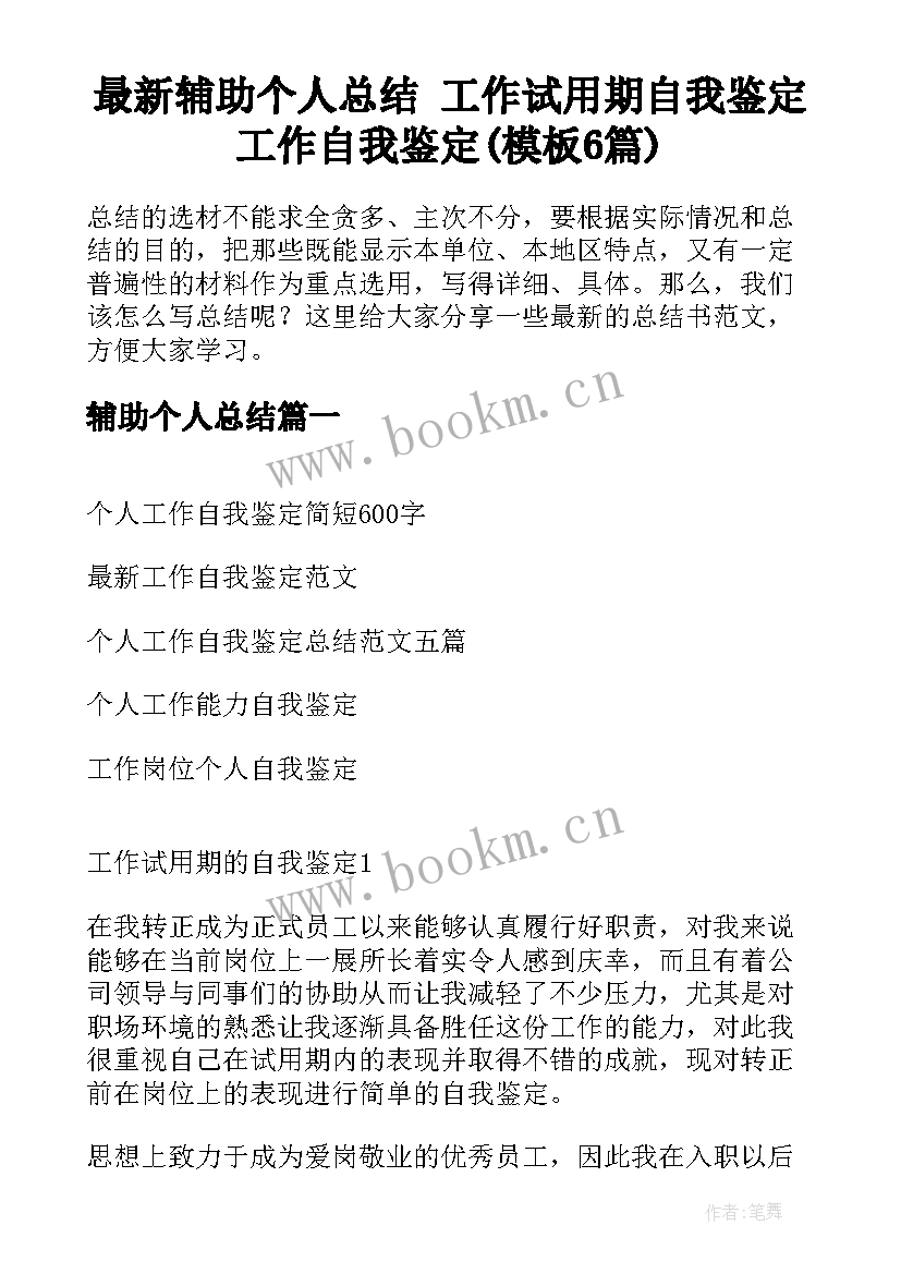 最新辅助个人总结 工作试用期自我鉴定工作自我鉴定(模板6篇)