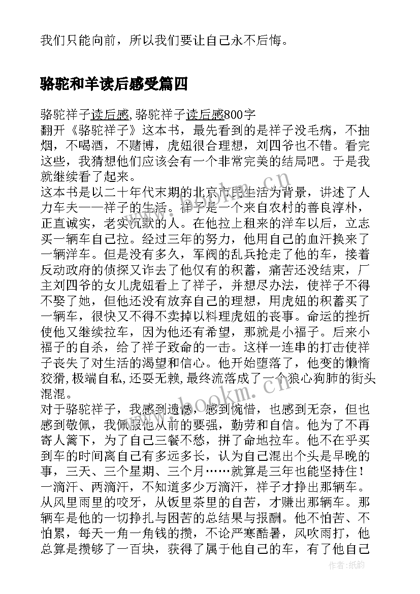 2023年骆驼和羊读后感受 找骆驼读后感(模板9篇)