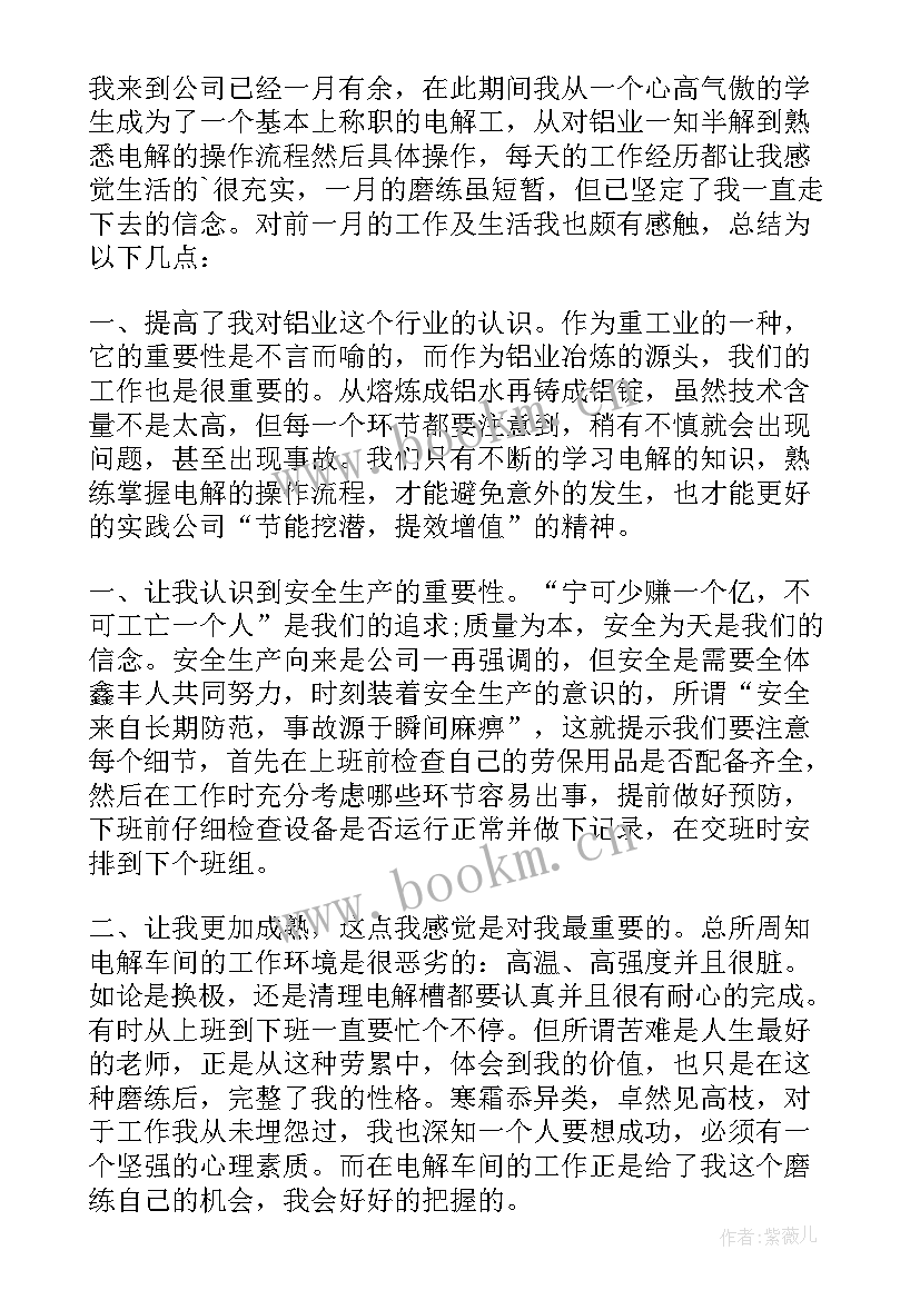 电解工工作总结(汇总5篇)