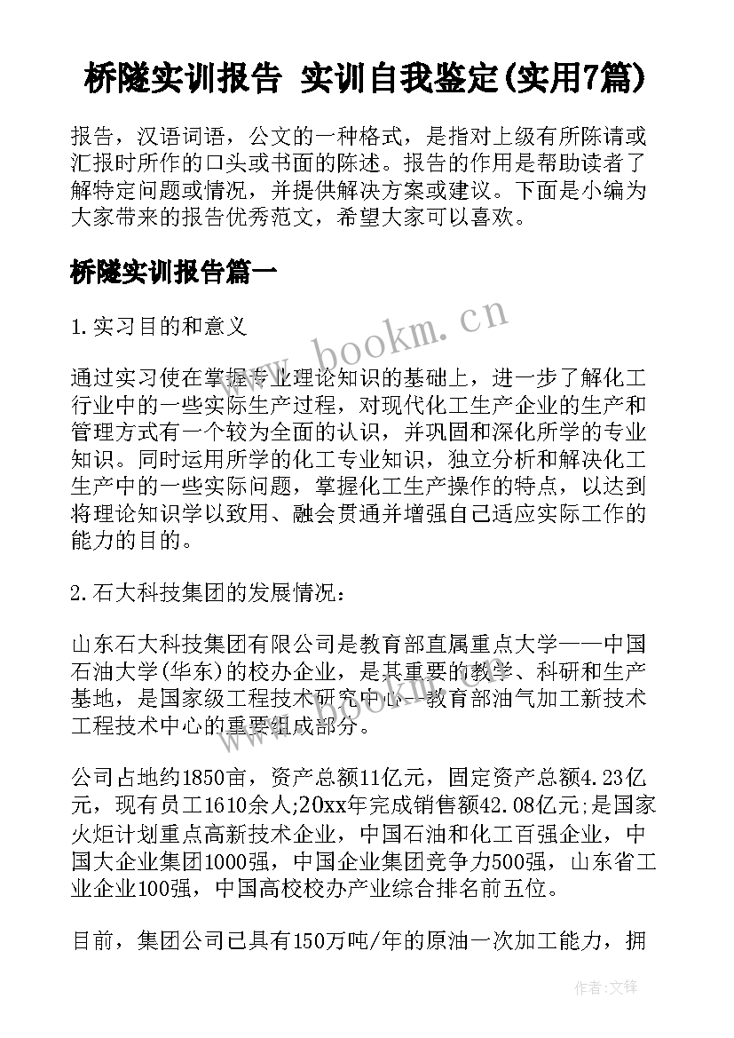 桥隧实训报告 实训自我鉴定(实用7篇)