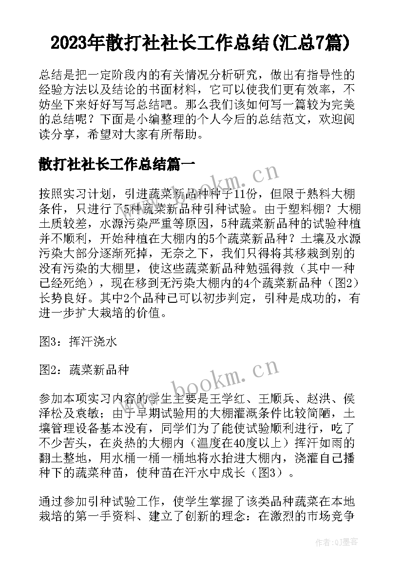 2023年散打社社长工作总结(汇总7篇)