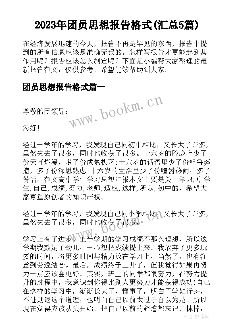 2023年团员思想报告格式(汇总5篇)