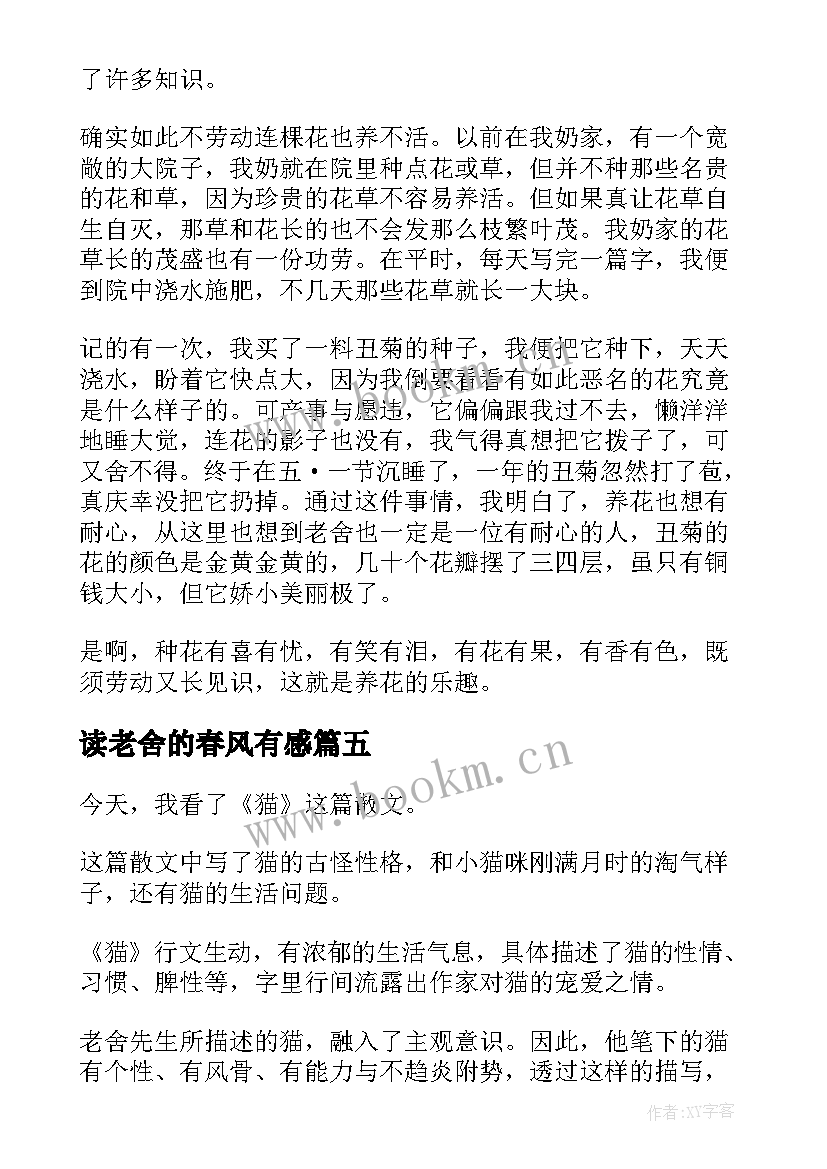 最新读老舍的春风有感 老舍猫读后感(精选9篇)