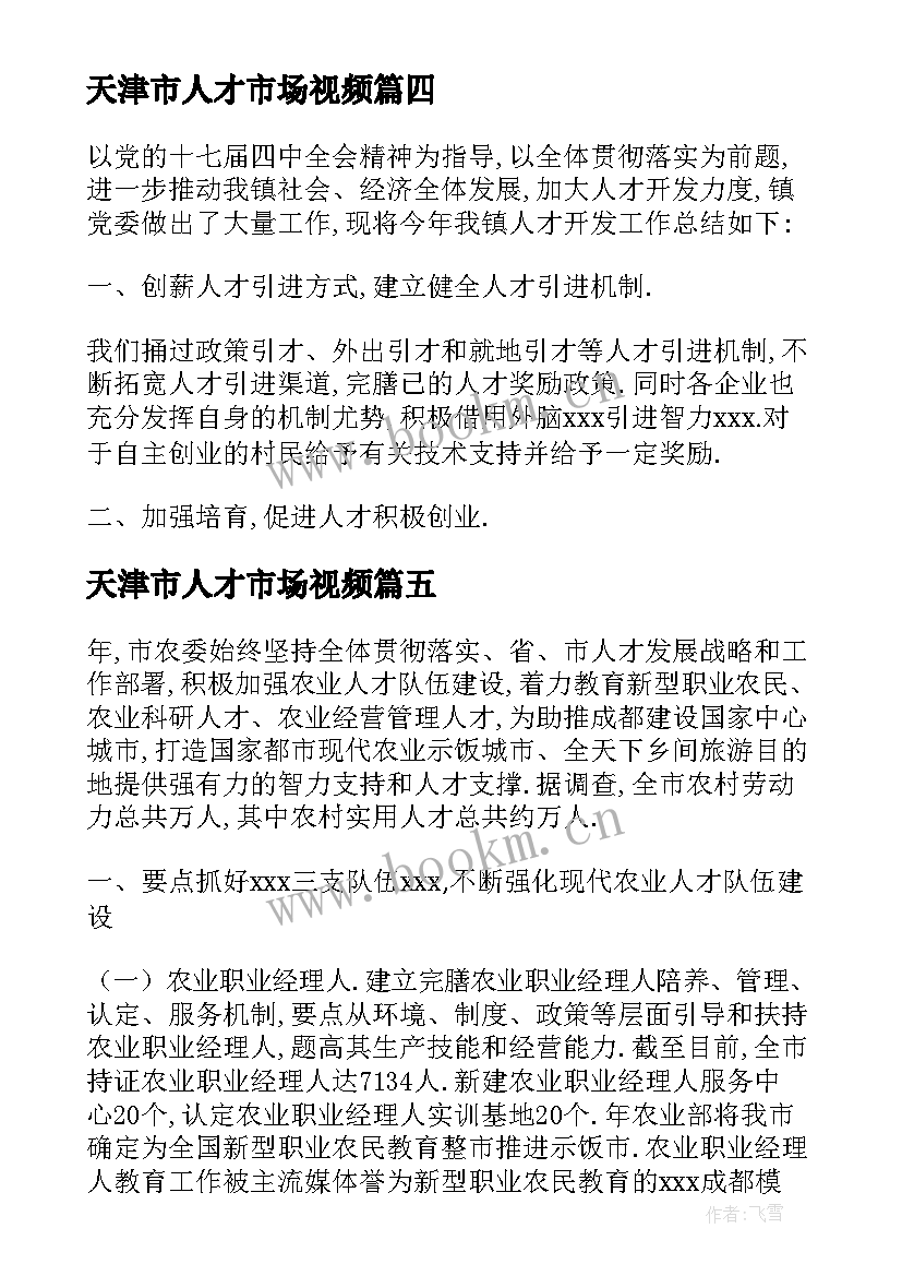 2023年天津市人才市场视频 天津人才引进总结(模板5篇)