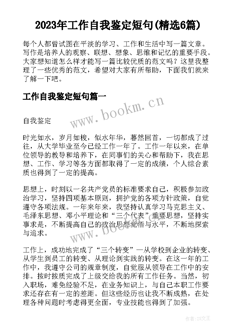 2023年工作自我鉴定短句(精选6篇)