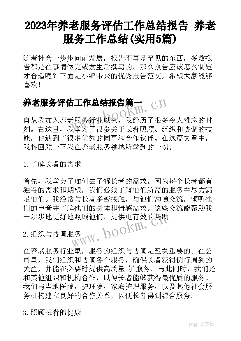 2023年养老服务评估工作总结报告 养老服务工作总结(实用5篇)