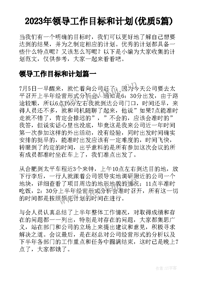 2023年领导工作目标和计划(优质5篇)