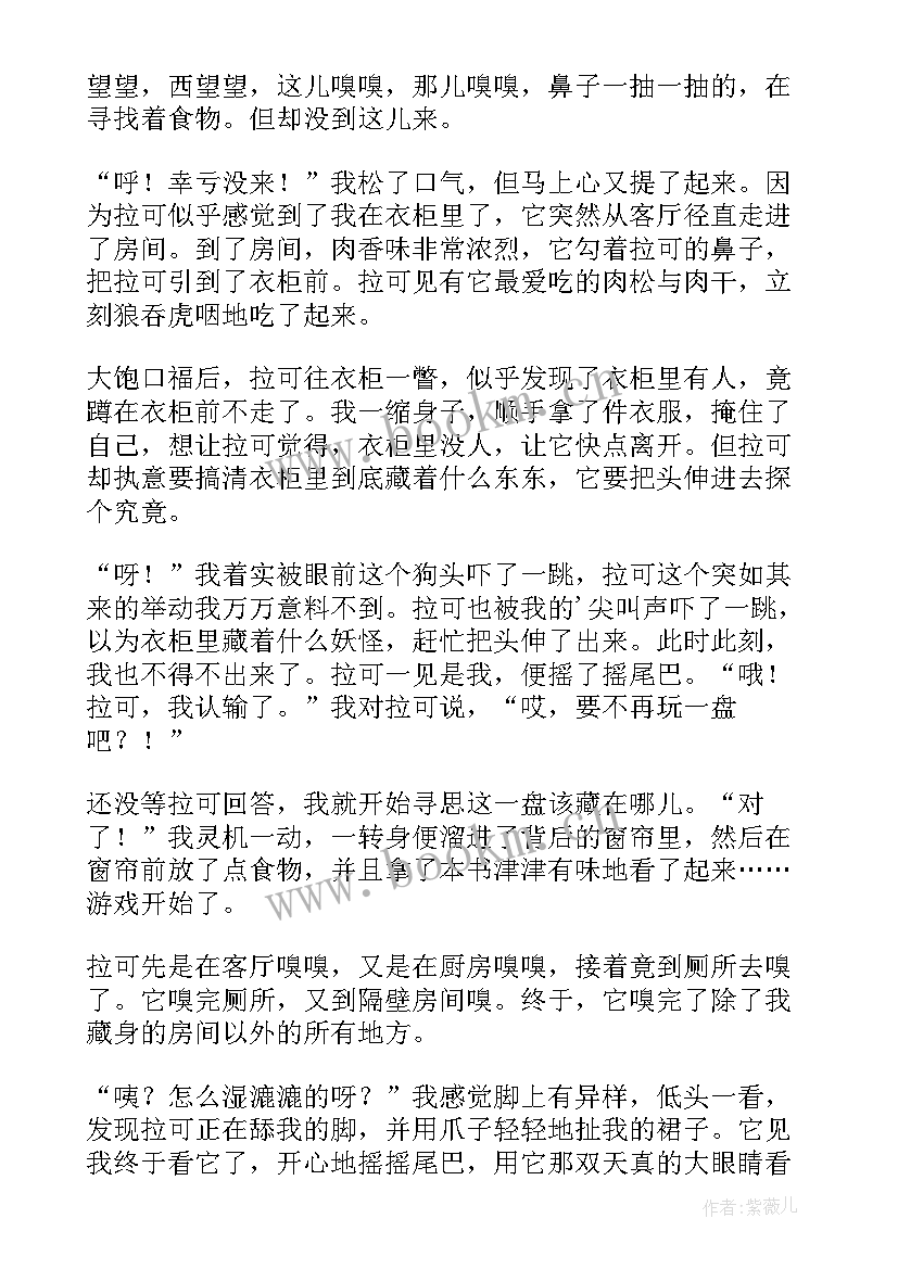 大班捉迷藏教案 捉迷藏的小学捉迷藏(通用7篇)