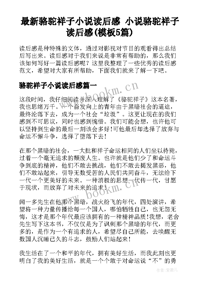 最新骆驼祥子小说读后感 小说骆驼祥子读后感(模板5篇)