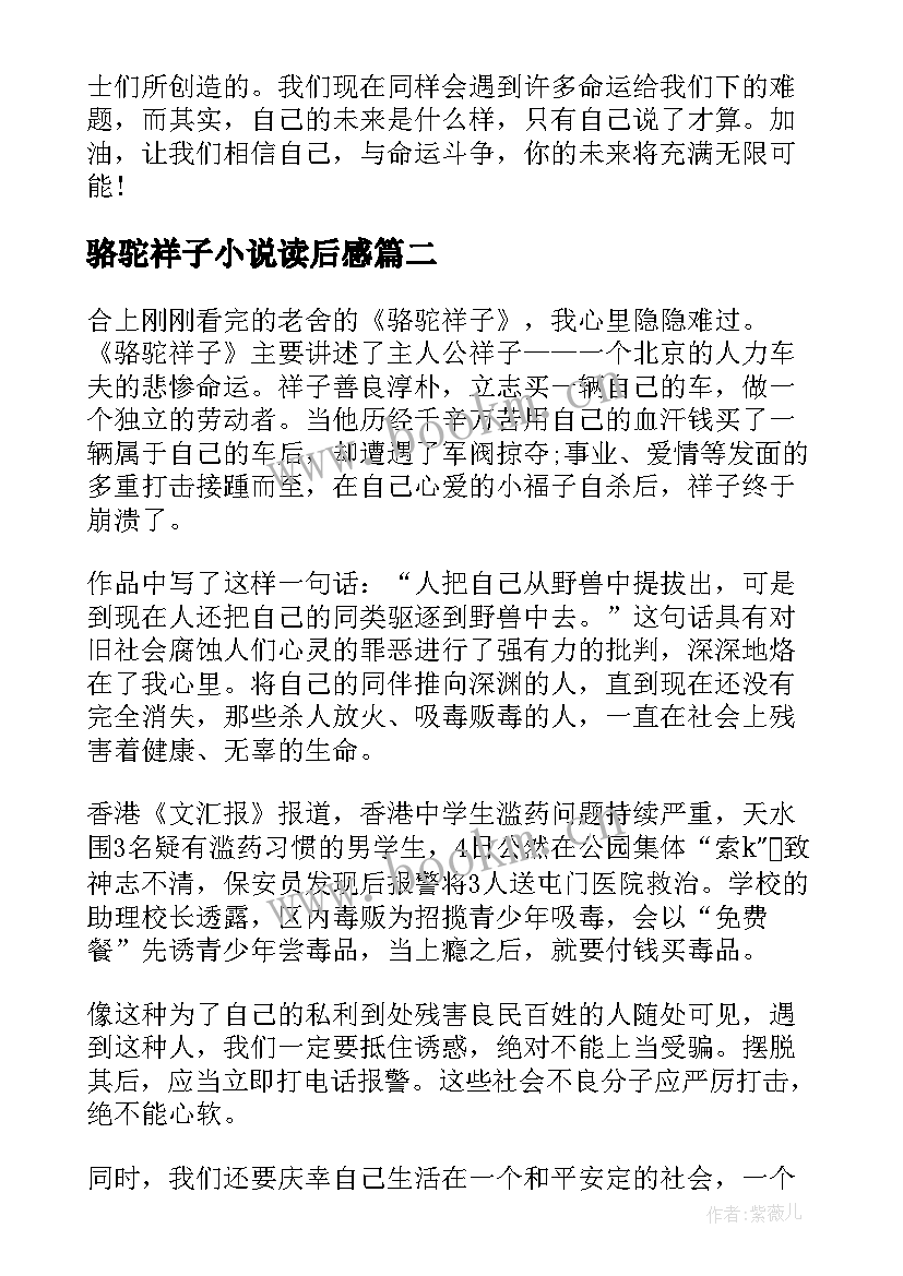 最新骆驼祥子小说读后感 小说骆驼祥子读后感(模板5篇)