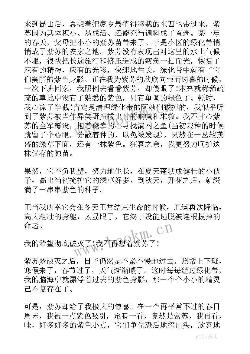 2023年生活小感悟(优质5篇)