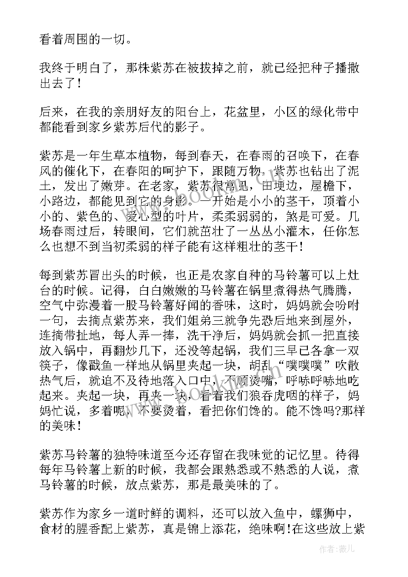 2023年生活小感悟(优质5篇)