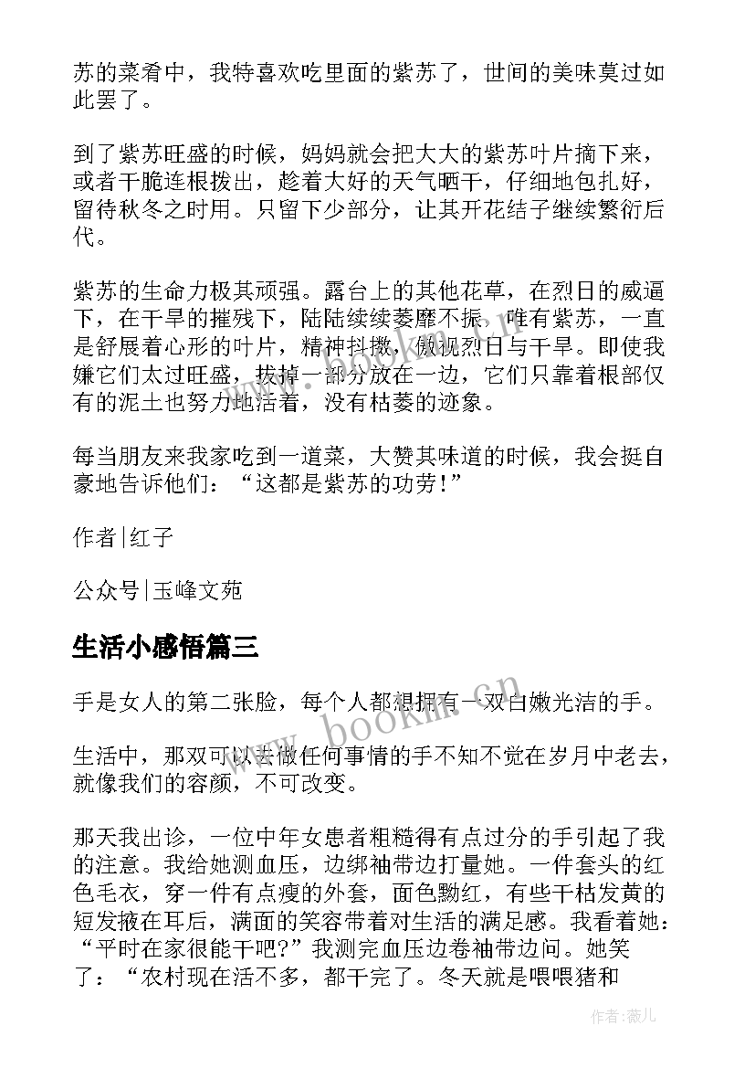 2023年生活小感悟(优质5篇)