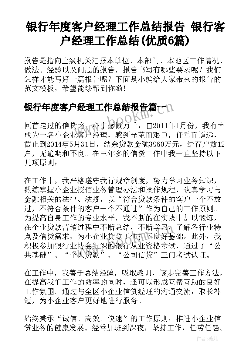 银行年度客户经理工作总结报告 银行客户经理工作总结(优质6篇)