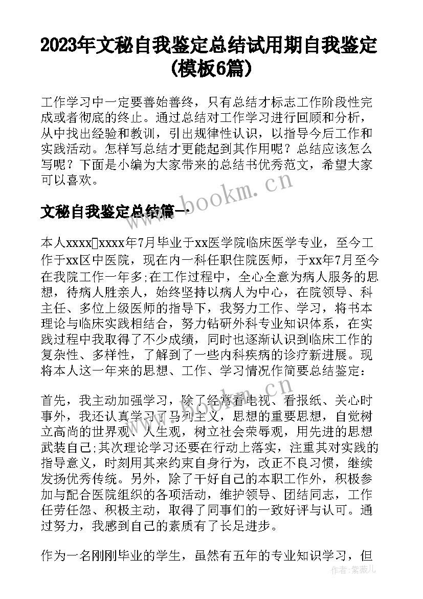 2023年文秘自我鉴定总结 试用期自我鉴定(模板6篇)