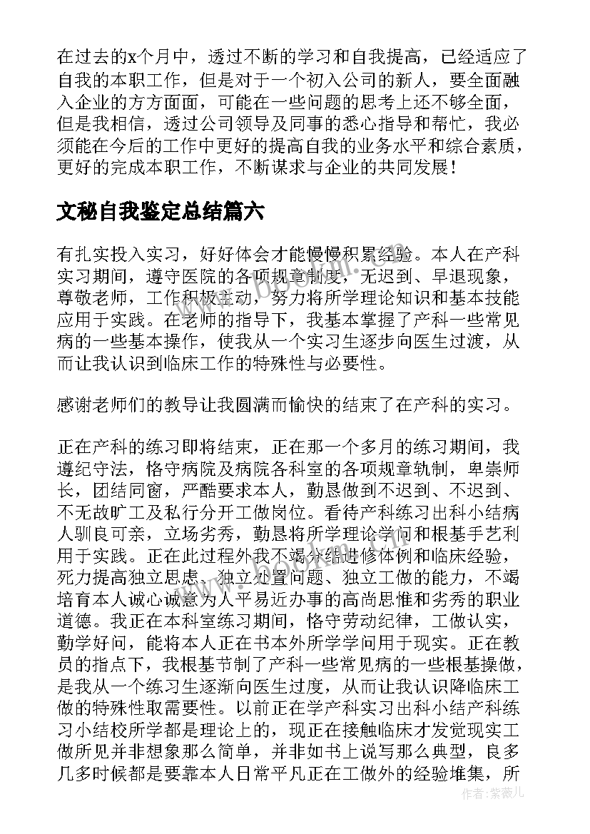 2023年文秘自我鉴定总结 试用期自我鉴定(模板6篇)