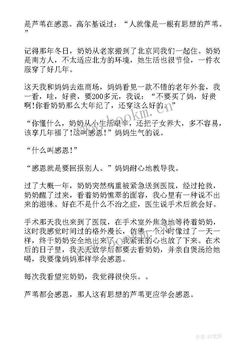 2023年感恩母亲的演讲稿(精选6篇)