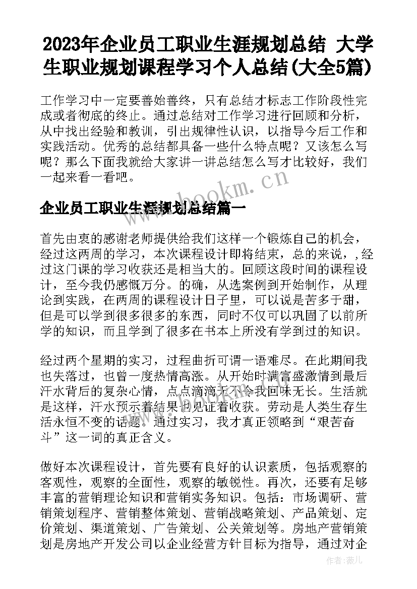 2023年企业员工职业生涯规划总结 大学生职业规划课程学习个人总结(大全5篇)