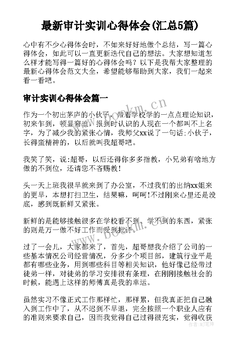 最新审计实训心得体会(汇总5篇)