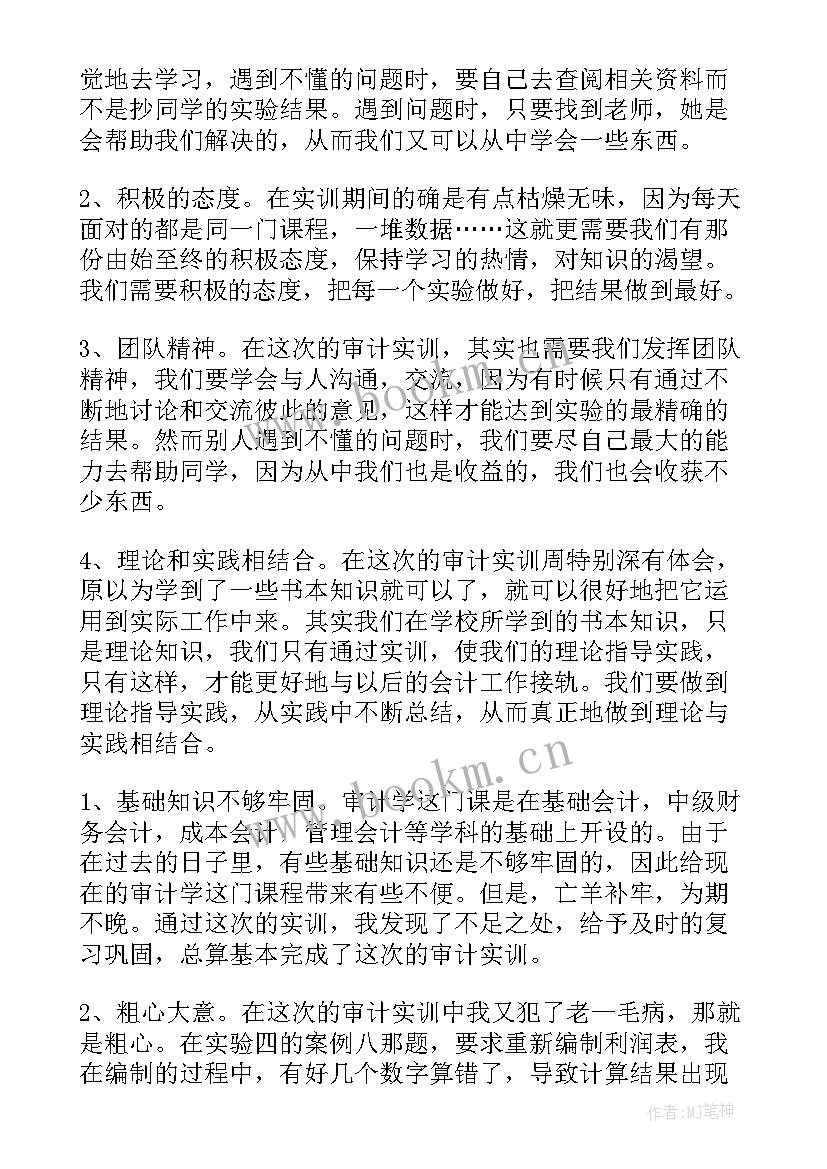 最新审计实训心得体会(汇总5篇)