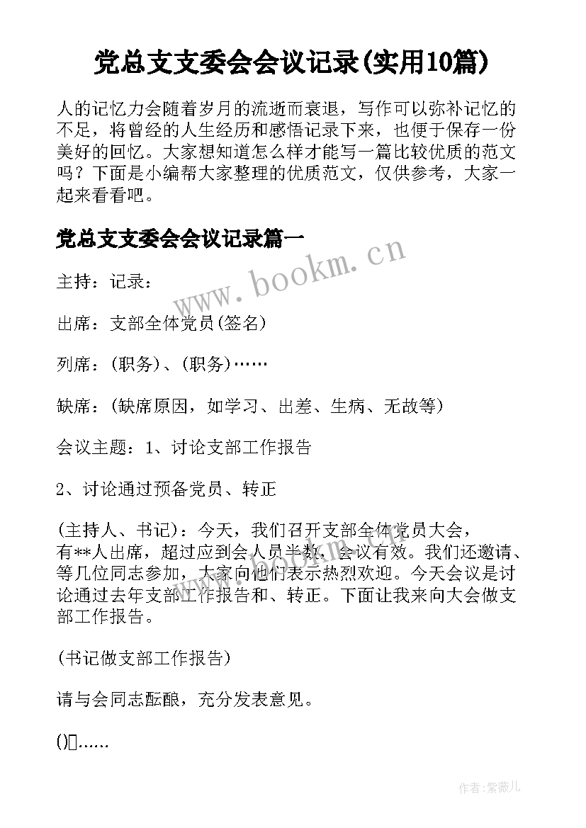 党总支支委会会议记录(实用10篇)