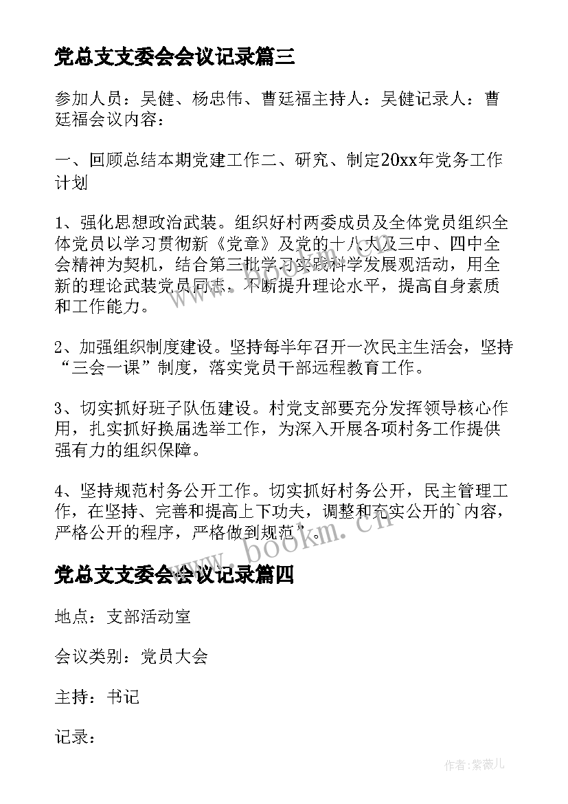 党总支支委会会议记录(实用10篇)