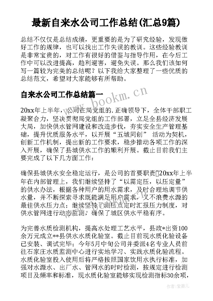 最新自来水公司工作总结(汇总9篇)