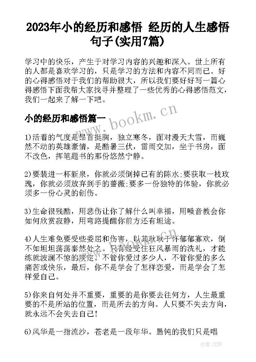 2023年小的经历和感悟 经历的人生感悟句子(实用7篇)