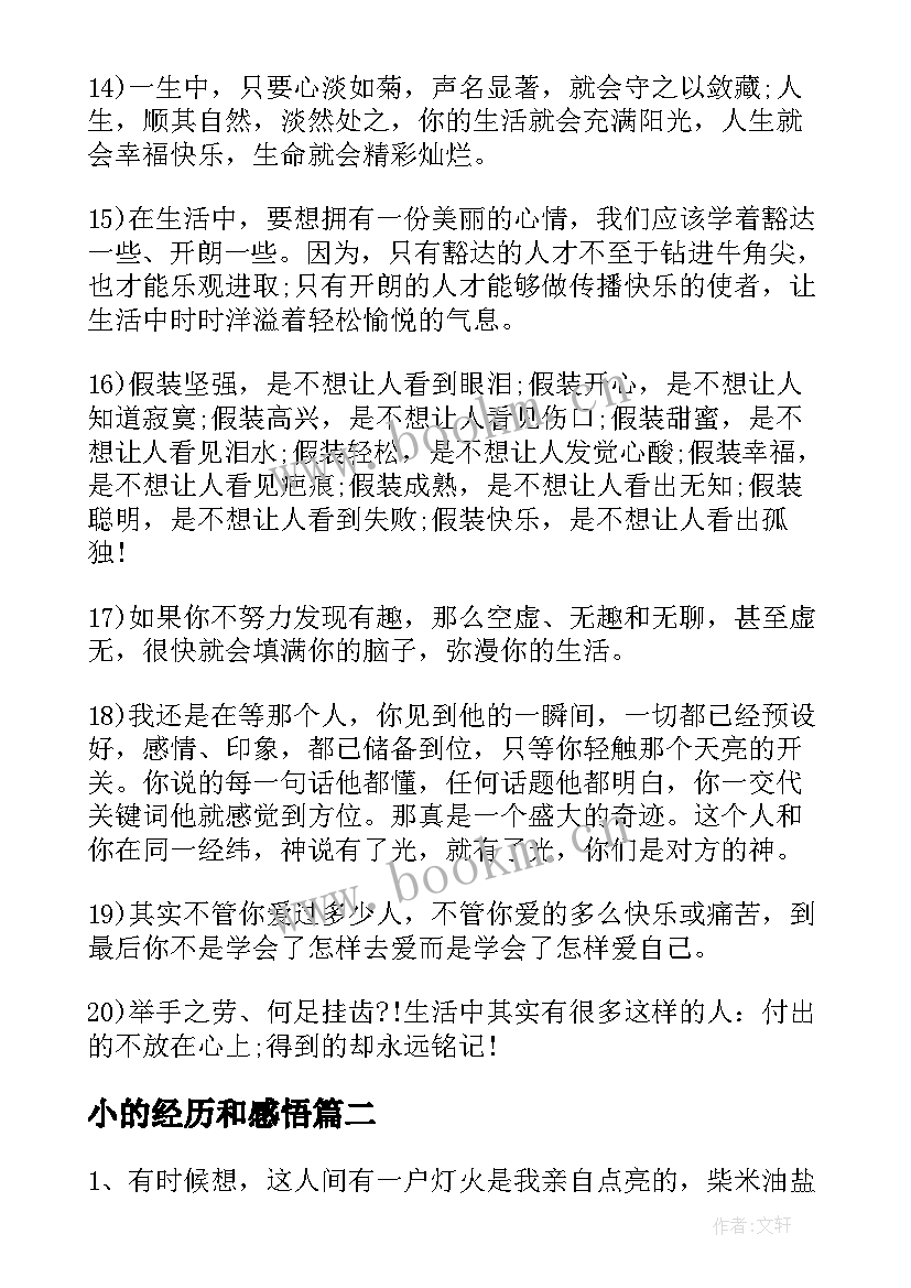 2023年小的经历和感悟 经历的人生感悟句子(实用7篇)