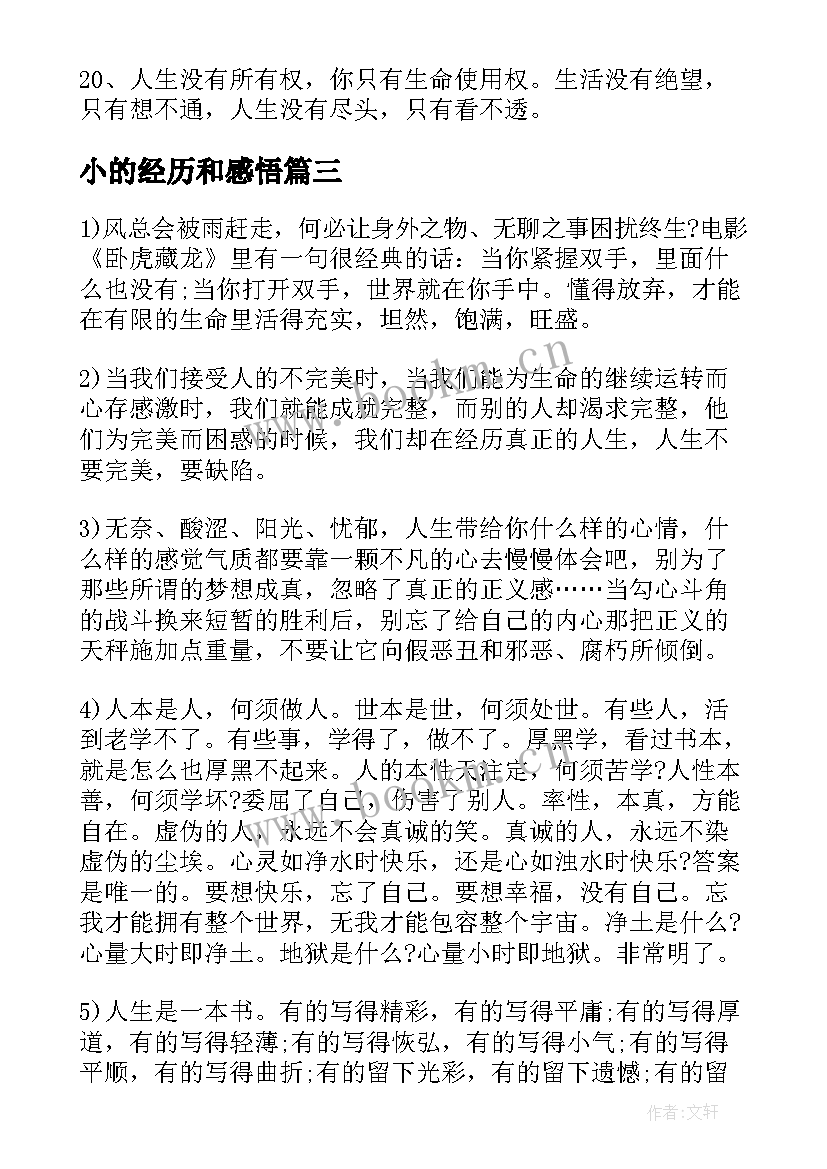 2023年小的经历和感悟 经历的人生感悟句子(实用7篇)