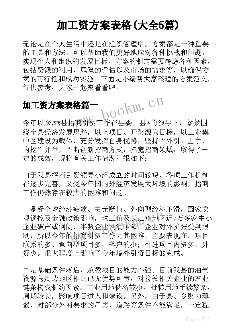 加工资方案表格(大全5篇)