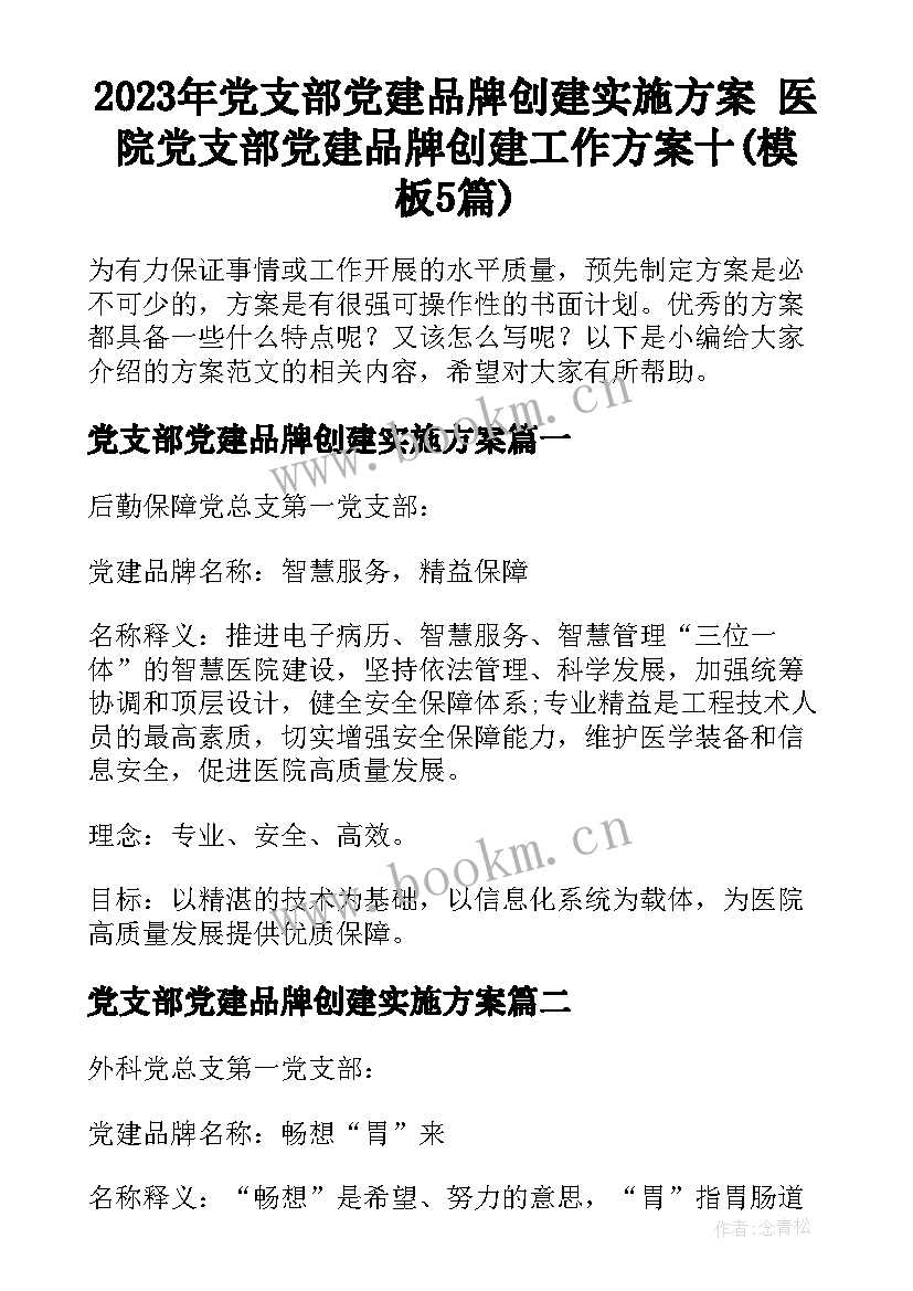 2023年党支部党建品牌创建实施方案 医院党支部党建品牌创建工作方案十(模板5篇)