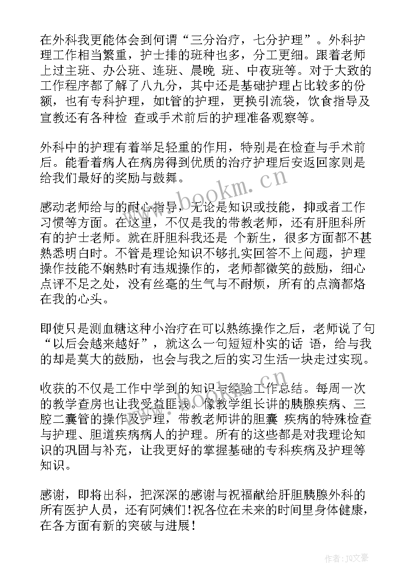 2023年肝胆外科护士小结(汇总5篇)