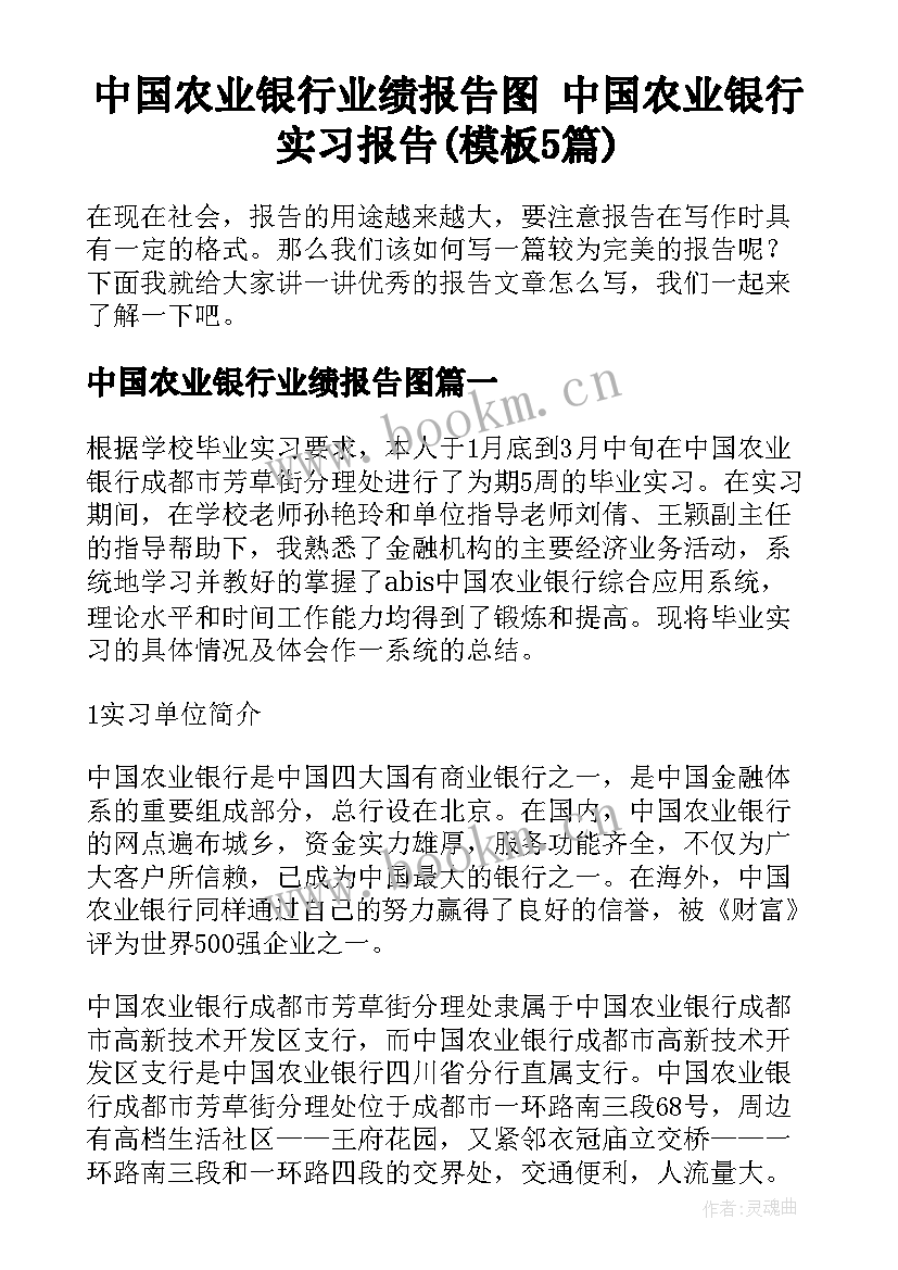 中国农业银行业绩报告图 中国农业银行实习报告(模板5篇)