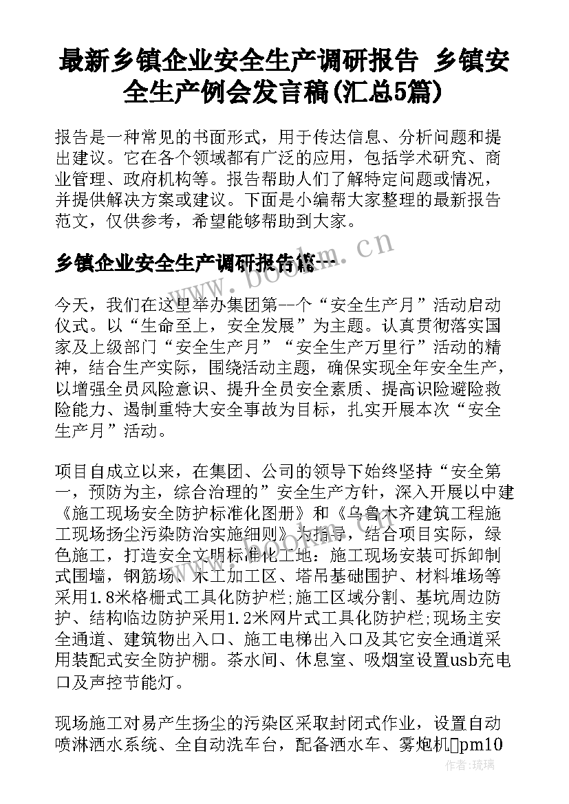 最新乡镇企业安全生产调研报告 乡镇安全生产例会发言稿(汇总5篇)