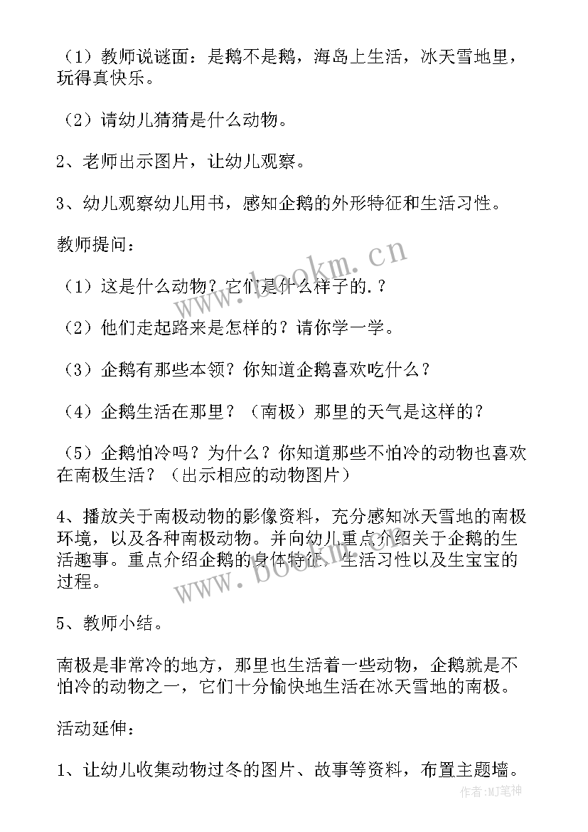 2023年不怕冷的小企鹅社会教案(实用5篇)